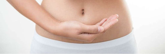 Zoom sur les enzymes digestives